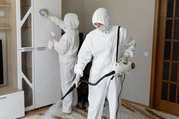Mold Removal Process in Bartlett, TX